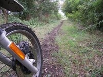 100_0798.jpg