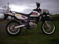 IMGP0928 (Small).JPG