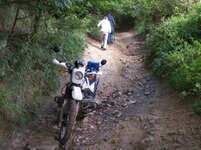 100_0830.jpg