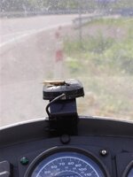 hitch hiker (Medium).JPG