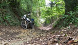 100_0843.jpg