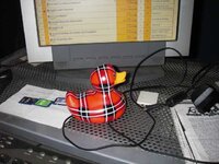 IMGP3048.jpg