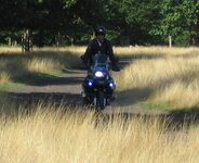 EU 207 - Wilderness.jpg