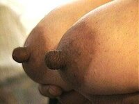 NIPPLES.jpg