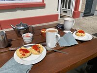 IMG_9893.jpeg IMG_9893.jpeg