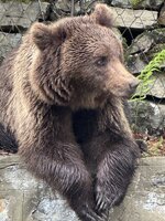 IMG_5184.jpeg