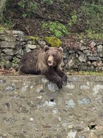 IMG_5179.jpeg