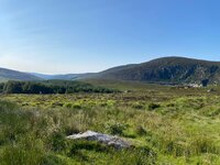 IMG_9907.jpeg
