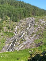 IMG_9911.jpeg