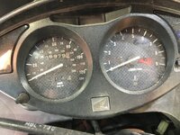 IMG_9829.JPG