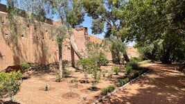 IMG_5936.jpg