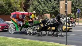 IMG_5940.jpg