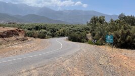 IMG_6005.jpg