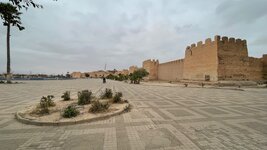 IMG_6141.jpg