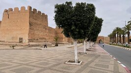 IMG_6143.jpg