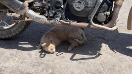 IMG_6166.jpg