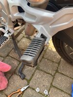 IMG_9027.jpeg