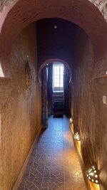 IMG_6311.jpg