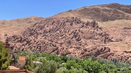 IMG_6369.jpg