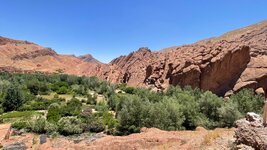 IMG_6372.jpg