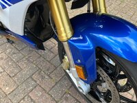 IMG_0945.jpeg