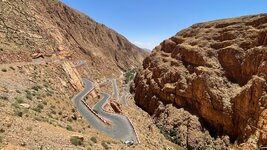IMG_6398.jpg