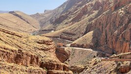 IMG_6488.jpg