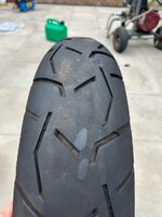 IMG_9994.jpeg