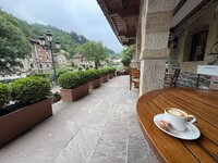 IMG_7407.jpeg