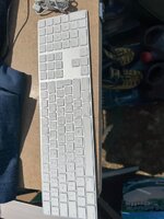 IMG_5631.jpeg