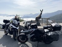 IMG_7421.jpeg