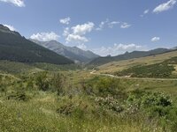 IMG_7450.jpeg