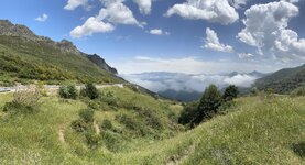 IMG_7451.jpeg