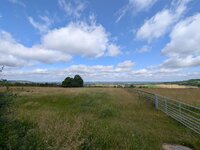 PXL_20250622_085311681.jpg