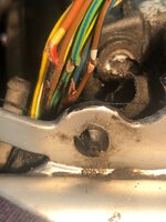 IMG_2218.jpeg