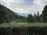 IMG_7505.jpeg