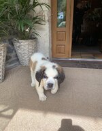 IMG_7497.jpeg