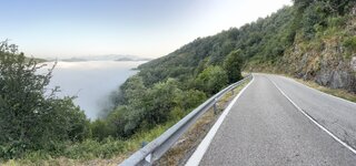 IMG_7511.jpeg