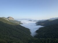 IMG_7515.jpeg