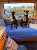 IMG_3717.jpeg