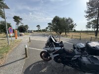IMG_7569.jpeg IMG_7569.jpeg