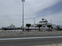 IMG_7575.jpeg