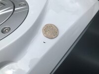 IMG_7805.jpeg