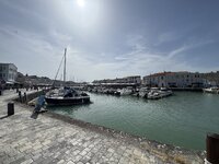 IMG_7589.jpeg