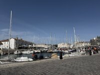 IMG_7595.jpeg