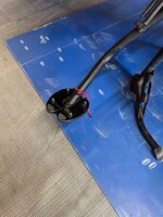 IMG_6980.jpeg