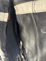 IMG_3329.jpeg
