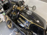 IMG_7812.jpeg IMG_7812.jpeg