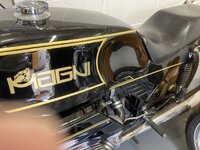 IMG_7816.jpeg IMG_7816.jpeg