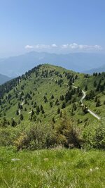IMG_9458.jpeg